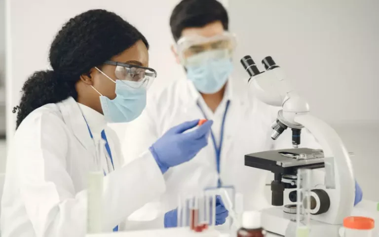 Científicos se dedican a estudiar las células madre