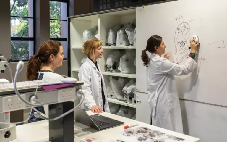 La dislexia está siendo objeto de estudio