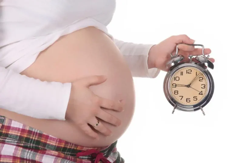 La Espermidina, un Prometedor Suplemento Antiedad, Puede Mejorar la Fertilidad en Ratones